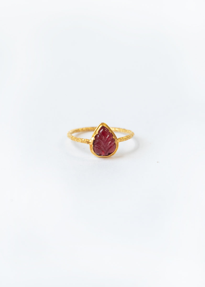 Ladakh Ring 