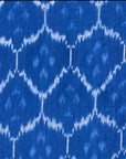 Rupali Ikat Dress